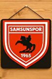 3D Samsunspor Logolu Duvar Tablosu -  Taraftarlara Özel Tasarım - 25x22,5cm