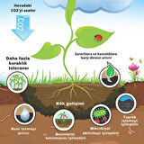 PreChar Meşe Odunu Bazlı Karbon Toprak Düzenleyici 32L Biochar 6mm ve Üstü