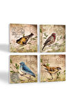 Serçe Kuş Taş Bardak Altlığı Masaüstü Koruyucu Altlık 4 Parça Set 10x10cm Stone Coasters