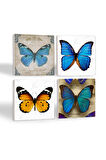 Kelebek Taş Bardak Altlığı Masaüstü Koruyucu Altlık 4 Parça Set 10x10cm Stone Coasters