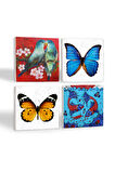 Kelebek, Kuş, Çini Sanatı Balık Taş Bardak Altlığı Masaüstü Koruyucu Altlık 4 Parça Set 10x10cm Stone Coasters