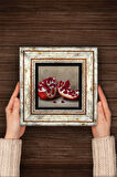 Nar Taş Duvar Tablosu Çerçeveli Duvar Dekoru Wall Art