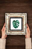Yaprak Taş Duvar Tablosu Çerçeveli Duvar Dekoru Wall Art
