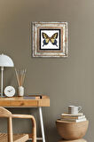 Kelebek Taş Duvar Tablosu Çerçeveli Duvar Dekoru Wall Art