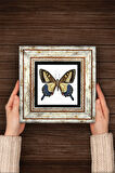 Kelebek Taş Duvar Tablosu Çerçeveli Duvar Dekoru Wall Art