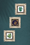 Yaprak, Tavus Kuşu Taş Duvar Tablosu Çerçeveli Duvar Dekoru 3 Parça Tablo Seti Wall Art