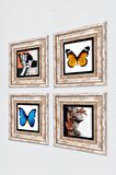 Kelebek, Bahar Düşü Serisi Taş Duvar Tablosu Çerçeveli Duvar Dekoru 4 Parça Tablo Seti Wall Art