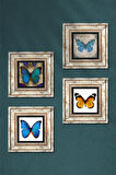 Kelebek Taş Duvar Tablosu Çerçeveli Duvar Dekoru 4 Parça Tablo Seti Wall Art