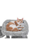 Kedi Ağacı,Kedi Kulesi,PCT51W