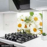 Pratik Dekor 60x52 cm Cam Ocak Arkası Koruyucu Ankastre Arkası Koruyucu | PAPATYA