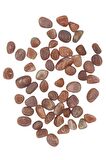 30 Gram Güneş Taşı Tamburlu Parçalar 103-3