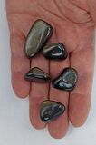 50 Gram Flaşlı Obsidyen Tamburlu Parçalar 666
