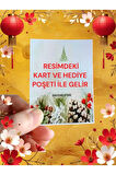 Pembe Boncuklu Marteniçka Bileklik Şans Arkadaş Sevgili Eş Çocuk Hediye Bahar Bilekliği Kartlı.