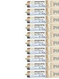 Philips 18W Snow White 12000K (Beyaz Işık) G13 Duylu Floresan (10 Adet)