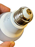 Philips 8W (60W) 6500K (Beyaz Işık) E27 Duylu Klasik Led Ampul (8 Adet)