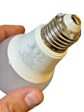 Philips 8W (60W) 2700K (Sarı Işık) E27 Duylu Klasik Led Ampul (2 Adet)