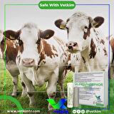 Vk-Pro Phosphor Bolus - 12 Adet 185 gr