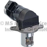 Pierburg 7.24809.59.0 Fkm Fpm Electric EGR Valve Mercedes-Benz A6461402460