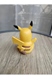 Pikacu Pikaçu Biblo