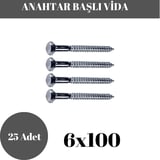 Trifon Vida 6x100 mm Altı Köşe Anahtar Başlı Vida  25'li Paket