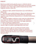 Philips 8000 Serisi SpeedPro Dikey Süpürge UYUMLU YAYLI Boru Tamir Kiti