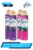 Aerosol, Oda Kokusu, Tropikal Floral & Aerosol, Oda Kokusu, Lavanta Ferahlığı