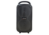 Platoon PL-4584 SD/USB/BLUETOOTH TYPE-C Girişli Bluetooth Speaker