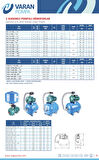 Varan 2HCP-160B HID/24 LT Tanklı Çift Kademeli Hidrofor 2 HP / 1.5 kW, Monofaze 220 V, 30-40 Mss