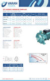 Varan 2TCP 25/140 Çift Kademeli Pik Döküm Santrifüj Pompa 1.5 HP / 1.1 kW, Monofaze 220 V, 45 Mss, 6 m3/h