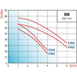Varan BM2-9x5 HID/50 LT Tanklı Yatay Kademeli Hidrofor 1 HP/ 0.75 kW, Monofaze 220 V, 23 - 46 Mss