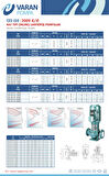 Varan CES-I 50-13-01502 İn-line Döküm Santrifüj Pompa 2 HP / 1.5 kW, Trifaze 380 V, 18 Mss, 25 m3/h