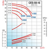 Varan CES-I 50-16-11002 İn-line Döküm Santrifüj Pompa 15 HP / 11.2 kW, Trifaze 380 V, 52 Mss, 50 m3/h