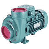 Varan CS 315 Tek Kademe Monoblok Santrifüj Pompa 1.5 HP / 1.1 kW, Trifaze 380 V, 11 Mss, 50 m3/h