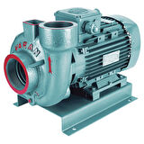 Varan VS 254 Monoblok Salyangoz Santrifüj Pompa 4 HP / 3 kW, Trifaze 380 V, 31 Mss, 45 m3/h