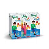 Pınar Çocuk Devam Sütü 200 Ml X 6 Adet