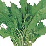 TERE Tohumu Yerli 10 gram