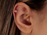 Arı Piercing-Tragus