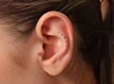 Forte Yonca Piercing-Tragus