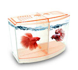 İkili Beta Akvaryumu 9*19*14cm 1800ml 
