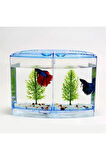 İkili Beta Akvaryumu 9*19*14cm 1800ml 