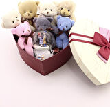 Sevgiliye En Tatlı Hediye Seti Peluş Ayıcık Kalpli Kutuda 7 Mini Peluş Ayıcık Işıklı Kar Küresi Seti