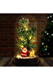 Yeni Yıl Ruhunu Yansıtan Led Işıklı Yılbaşı Çam Ağacı Dekoru Noel Baba Çam Ağacı Figürlü Ledli Fanus