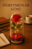 Canım Öğretmenim Temalı  Öğretmene Hediye Led Işıklı Mika Fanus Kırmızı Yapma Solmayan Gül 