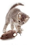 2 Adet Kedi Oyuncağı Kurmalı Fare Pelüş Oyuncak 14 cm 2 Adet Pelüş Fare Oyuncak