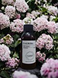 Pro Mac  Deneb  Koku Makinesi-Diffuser  Esans Yağı 100 Ml. Her Makineye Uygun