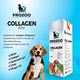 Köpekler Için Kolajen Damla 50 ml