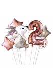Tavşan 2 Yaş Balon Set Yıldız Balon Folyo Set Tavşan Konsept Doğum Günü Set Yaş Balon Set