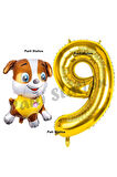 Paw Patrol inşaat Köpek Rubble 2 Yaş Balon ve Gold Rakam Balon Doğum Günü Parti Set