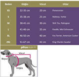 Otso Köpek Yağmurluk - Yeşil