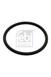 O Rıng Termostat Için Amarok 4motıon S1 Bora 1j Bora Iv Febı 17966 038121119b